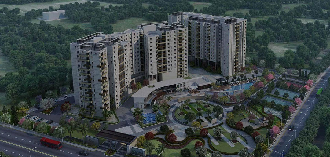 Prestige Pine Forest