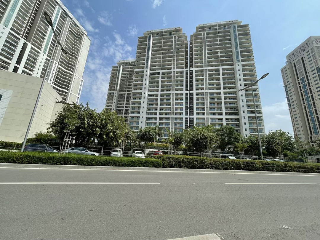DLF Lux5