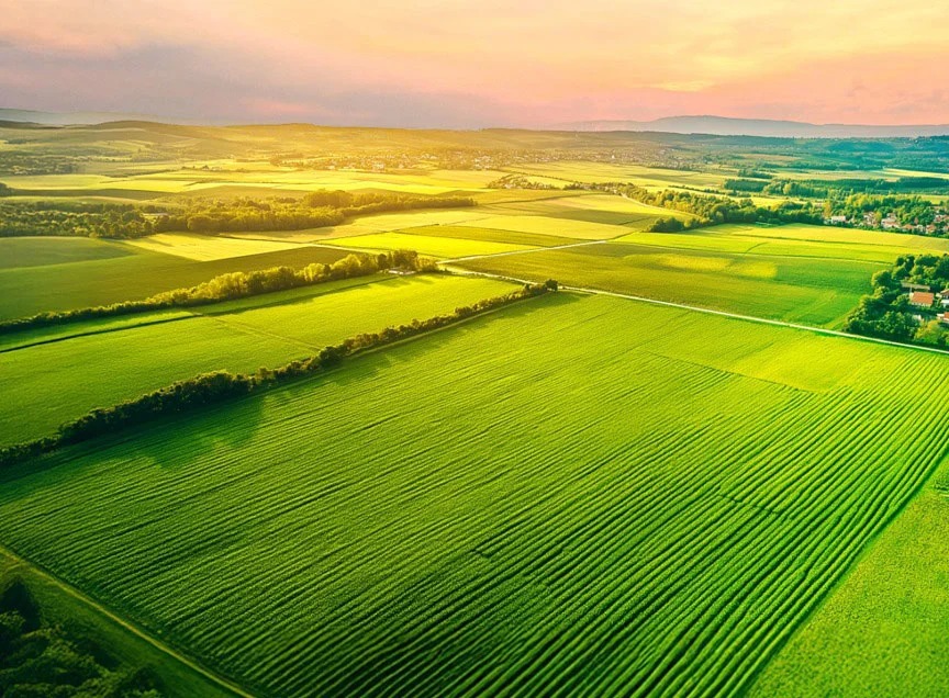 Godrej Eden Estate Phase 1 & 2